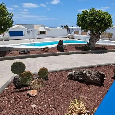 Three Orchids * Tias